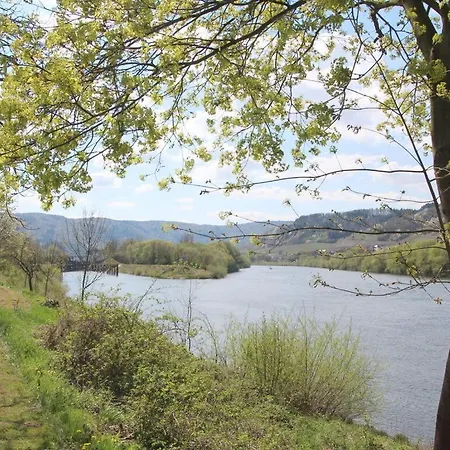 Riesling On The Moselle Terrace * Detzem