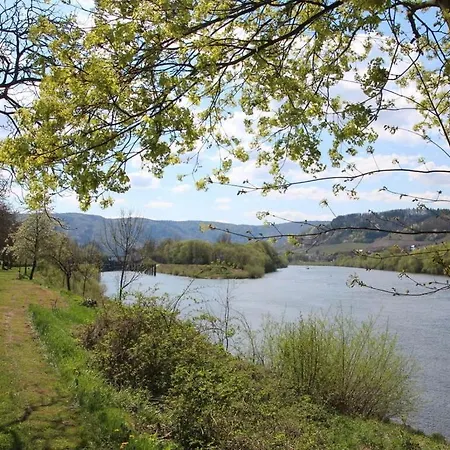 Riesling On The Moselle Terrace アパート Detzem