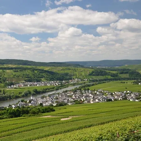 アパート Riesling On The Moselle Terrace Detzem